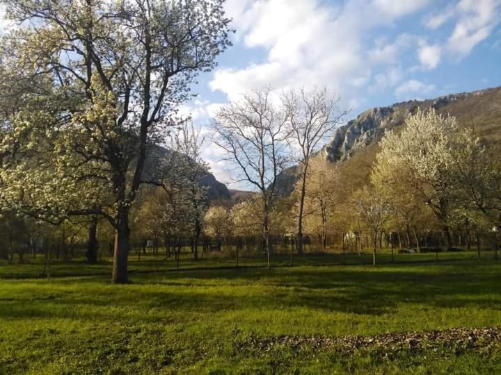 Family Apartman Szadelo - Zadiel Экстерьер фото